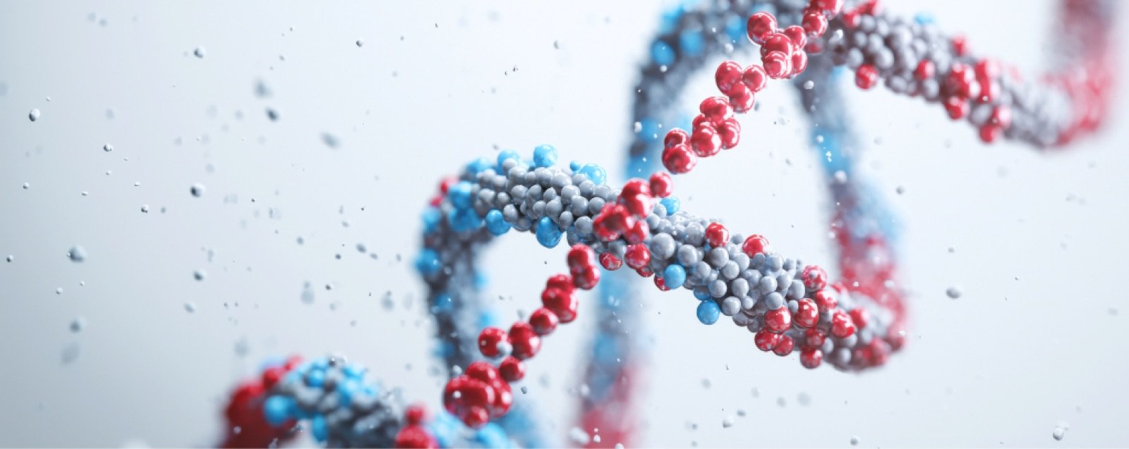 DNA strand